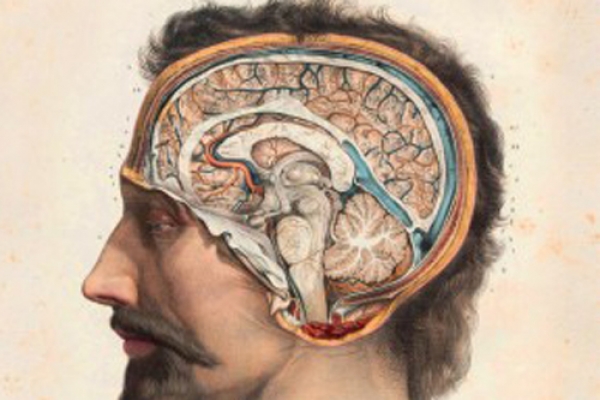 Un profesor de la UAH descubre al gran público los grandes ‘misterios’ del cerebro