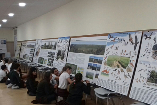 La Exposición ‘Biodiversidad, Paisaje y Territorio. Valores y funciones de la naturaleza en el municipio de Alcalá’, recorre los colegios de Alcalá de Henares
