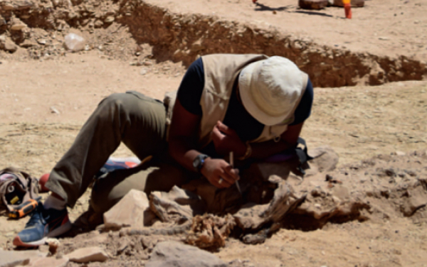 La UAH organiza un Seminario de Egiptología para explicar los hallazgos de su expedición en Luxor