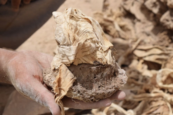 La expedición arqueológica de la Universidad descubre en Luxor el depósito con los materiales utilizados en la momificación de Ipi