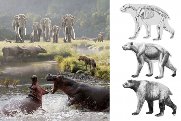 El arte de dibujar especies extinguidas hace millones de años