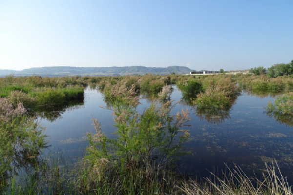 La UAH realiza un estudio sobre las lagunas artificiales de Velilla