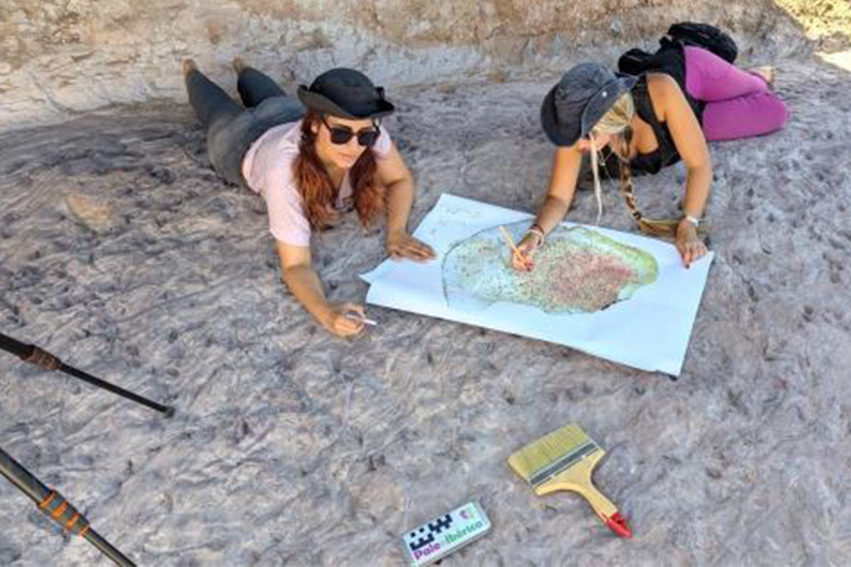 Investigadores de la UAH descubren nuevas huellas fósiles de vertebrados del Cretácico en Tamajón (Guadalajara)