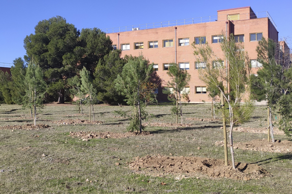 La UAH renueva el sello de calidad medioambiental en los tres campus