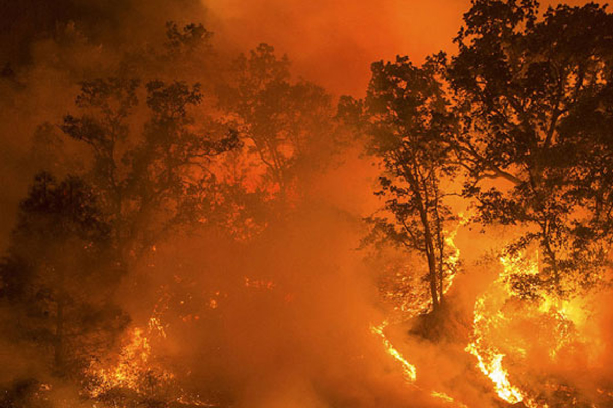 Teledetección terrestre: de cómo la tecnología puede 'apagar' incendios antes incluso de que prenda el fuego