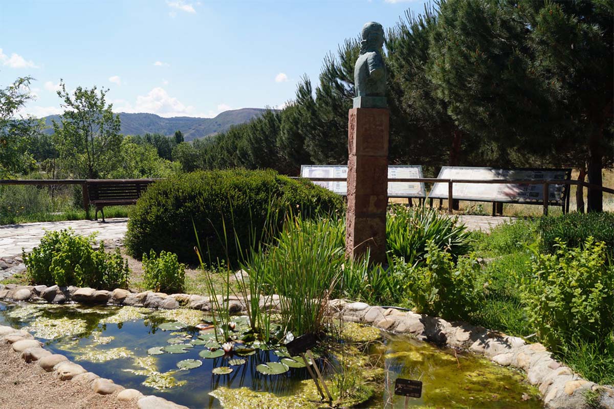 Conoce la flora que te rodea con el curso práctico de flora urbana