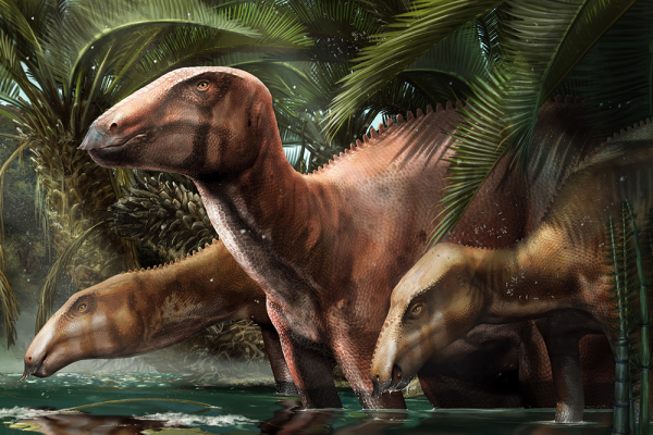 Nuevos especímenes de dinosaurio reescriben la geografía del Mediterráneo hace 80 millones de años