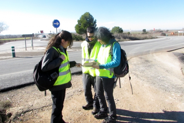 Estudiantes de la UAH participan en la restauración ambiental de rotondas y enlaces verdes