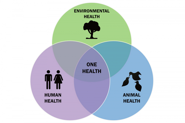 La UAH colabora en el proyecto One Health que promueve la protección de la salud humana, animal y medioambiental