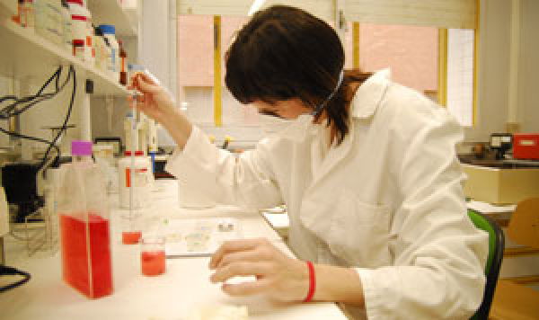UAH Faculty of Medicine leading the way in internship hours
