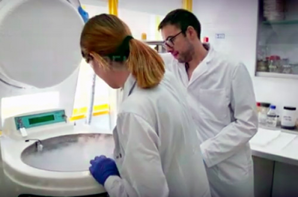 El Biobanco de RedInRen lanza un proyecto de micromecenazgo destinado a avanzar en la investigación de las enfermedades renales