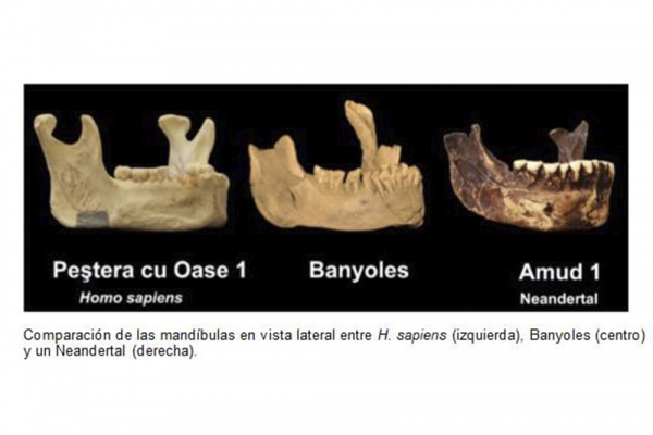 Investigadores de la UAH y de HM Hospitales descubren la existencia de una especie distinta a los neandertales antes de lo que se pensaba