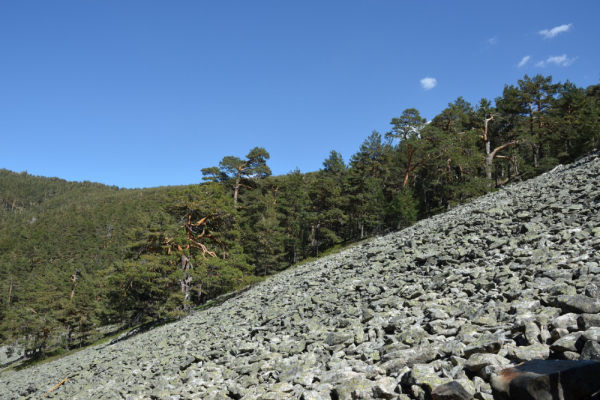 La UAH participa en un estudio sobre la fauna del subsuelo de la Sierra de Guadarrama