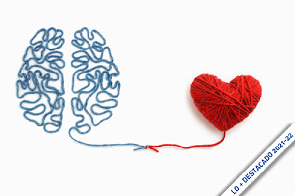 En verano: La relación del cerebro y el corazón