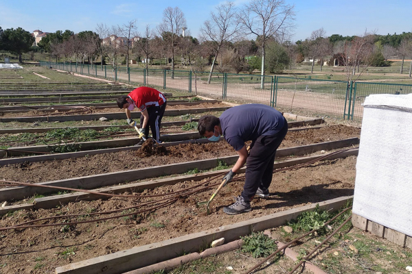 La Universidad de Alcalá, comprometida con la alimentación sostenible y saludable