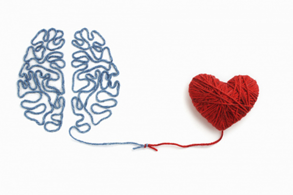 La relación del cerebro y el corazón