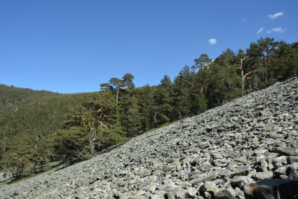 UAH participates in a study on the fauna of the subsurface of the Sierra de Guadarrama