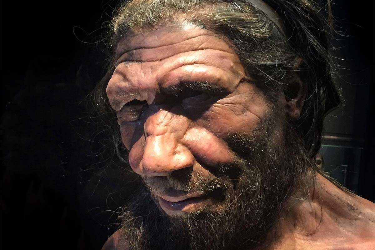 RecreationNeanderthal