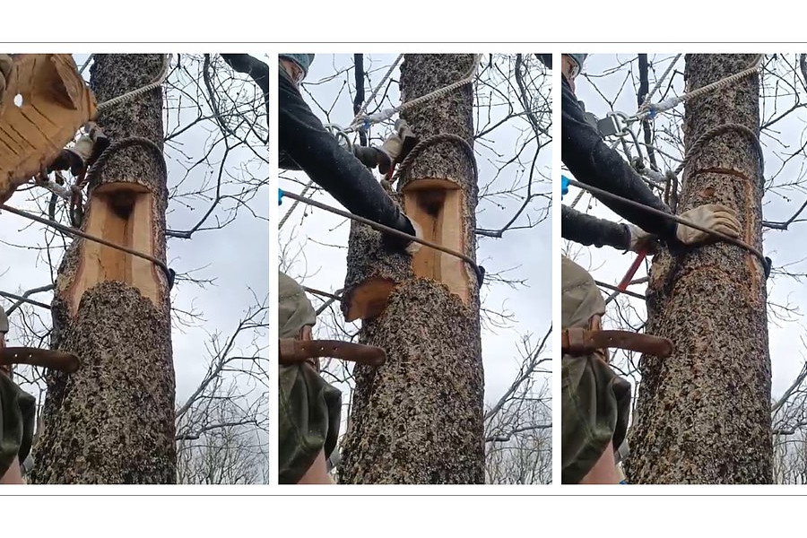 RefugiosFauna2