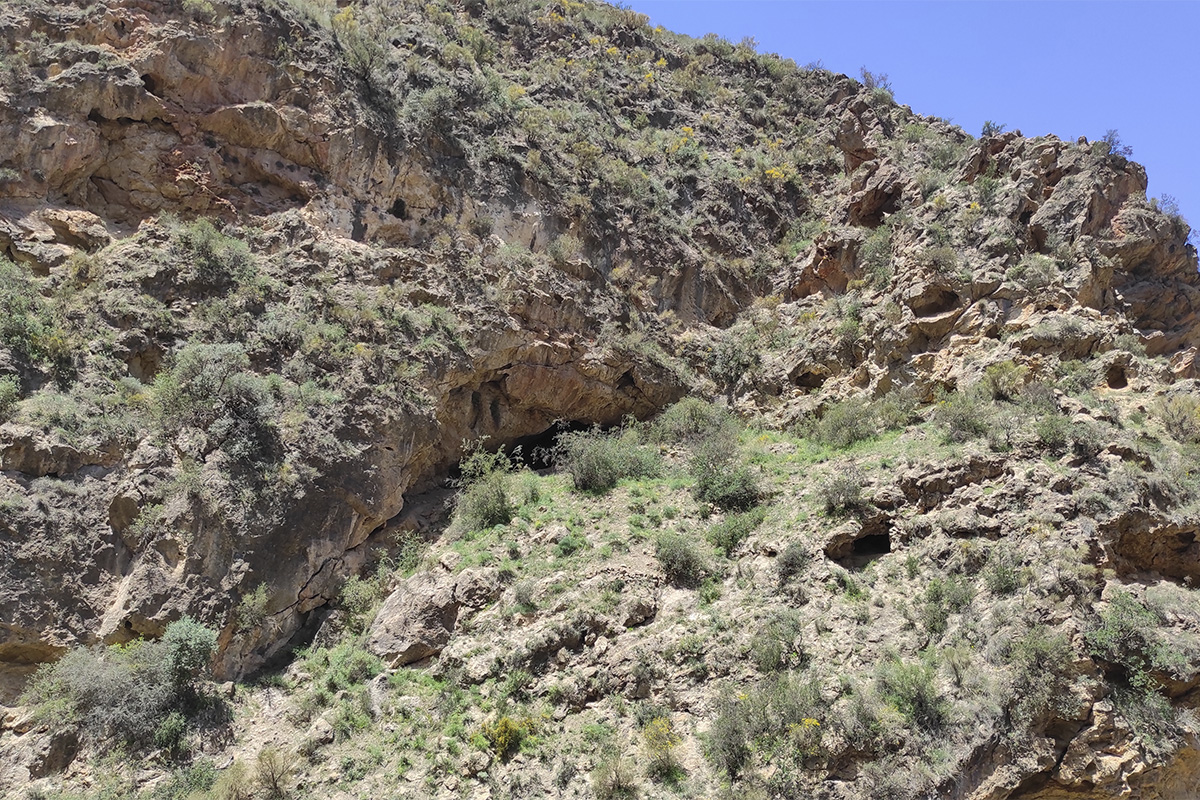 Las sociedades neolíticas ibéricas tenían un conocimiento profundo de técnicas y materiales para el tiro con arco