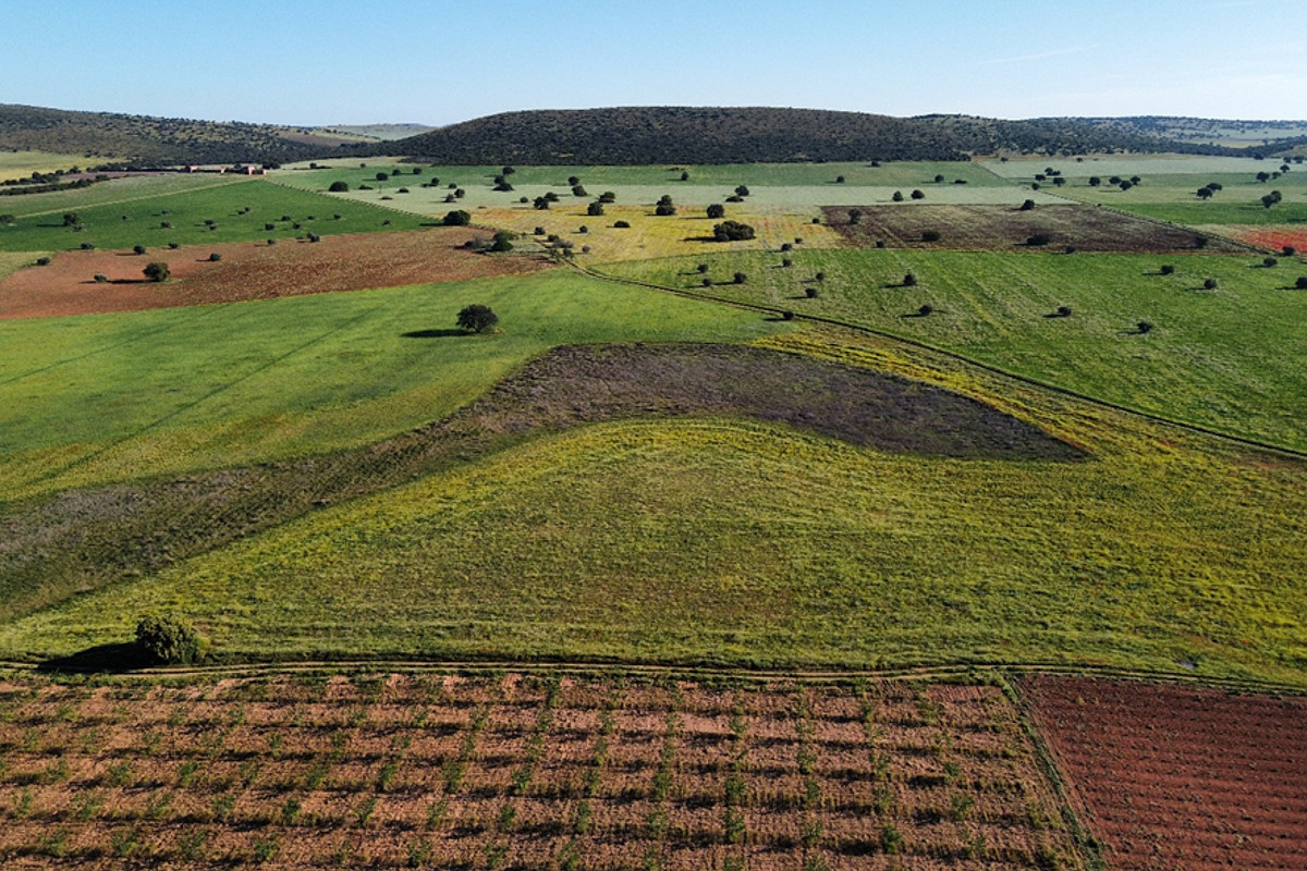 Cultivar y restaurar, oportunidades para revertir la crisis de biodiversidad global