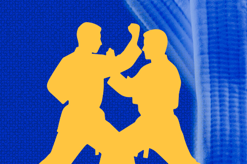 La Universidad de Alcalá organiza el Campeonato Universitario de Kárate 2026